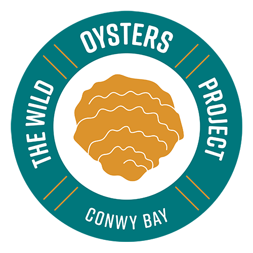 The Wild Oysters Project
